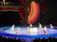 -珠海横琴长隆《卡卡虎奇遇记》