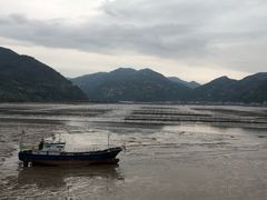 -北岐滩涂