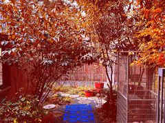 -谷咖啡·鲜花绿植花园餐厅
