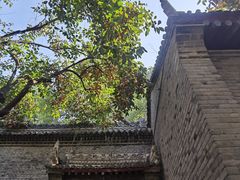 -西安大兴善寺