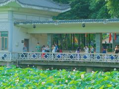 -荔湾湖公园