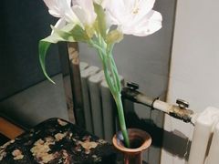 -王家渡火锅店(亦庄店)