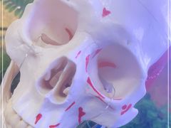 -UP健身私教馆(海岸城店)