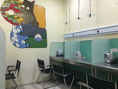 -米苏动物医院·犬猫专科·骨科外科内窥镜