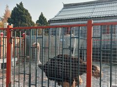 -有喜胶东小馆(太申祥和店)