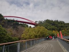 -金鸡山公园