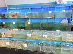 水产区-叶姐海鲜(棋子湾店)