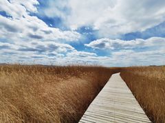 -野鸭湖国家湿地公园