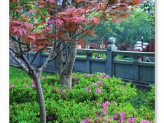 -莆田南少林寺
