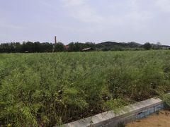 -西海岸生态观光园