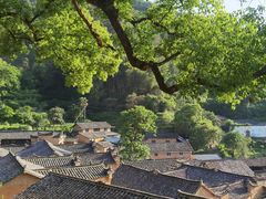 -杨家堂村