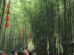 -竹泉村旅游度假区