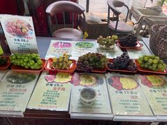 -马陆小张葡萄园农家乐