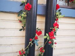 -LUNEURS月乐诗·法式冰淇淋(环贸店)