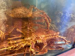 -海底捞大排档火锅(打浦路店)