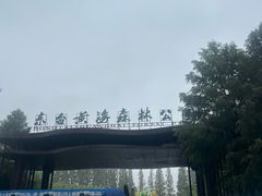 -黄海国家森林公园