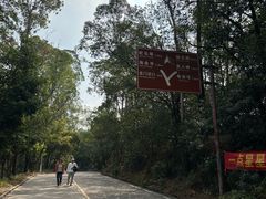 -大雁山风景区