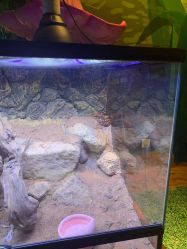 -酷嗒动物文化乐园(cutezoo西溪乐天城店)