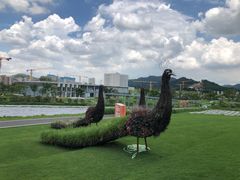 -光明小镇欢乐田园