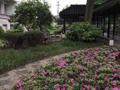 -苏州图书馆(人民路总馆)