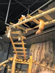 -Zoolung Zoolung动物主题公园(海信广场店)