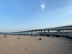 -演武大桥观景平台