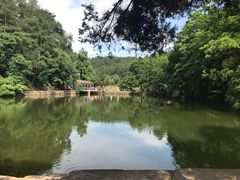 -韶山毛泽东同志故居