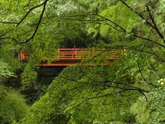 -三千院