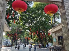 -荔湾湖公园