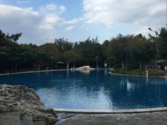 -湖泉半山温泉