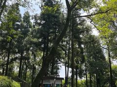 -莫干山风景区