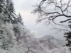 -九鼎铁刹山风景区