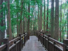 -东湖落雁景区