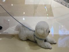 -金鹰国际购物中心(江都店)