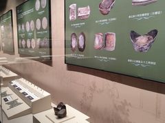 -大连金州博物馆