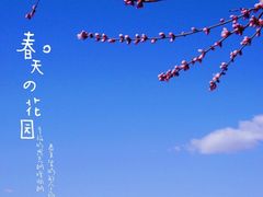 -大兴滨河森林公园