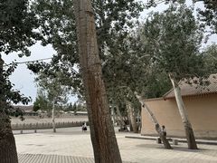 -敦煌市博物馆