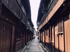 -乌镇东栅景区
