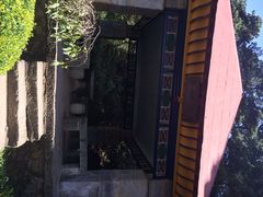iphone_upload_pic-庐山风景区花径公园