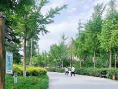 -廊坊文化艺术中心