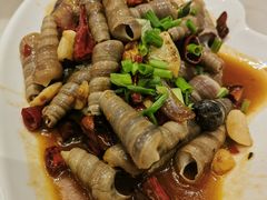 -华盛丰温州大排档(东三环南路店)