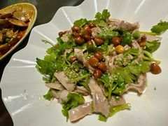 -东鸽皇(奥园·中环广场店)