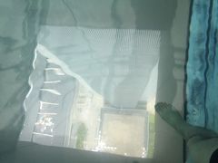 -上海浦东康桥绿地假日酒店