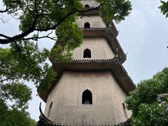 -江心屿景区