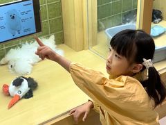 -首开·龙湖成都西宸天街