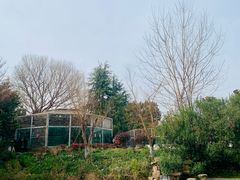 -水绘园