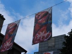 -思南书局(复兴中路店)