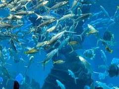 -波塞冬海底世界