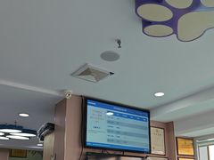 -天使宠物医院·犬猫分诊(彩虹店)