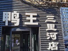 -鸭王烤鸭店(三里河店)
